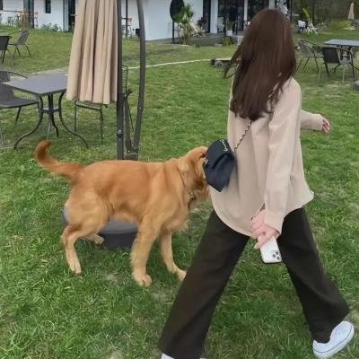 秘鲁:神秘宝藏